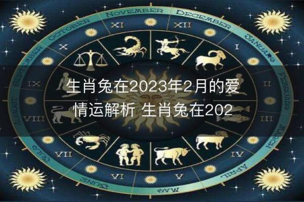 2011年属兔，兔年命理解析与性格特征剖析