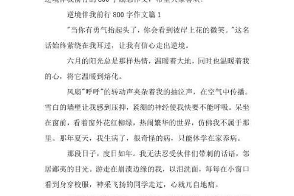 28岁生肖鸡命运解析：迷雾中的希望与挑战