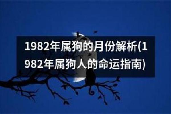 2006年属狗的人命运解析：如何发挥优势，迎接挑战