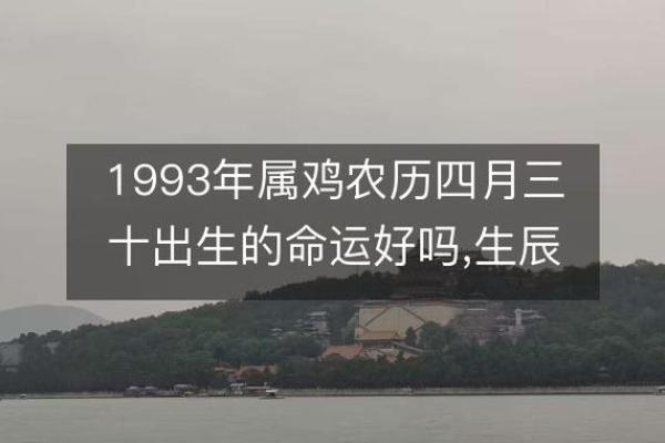 戊午年属鸡命理解析：如何把握命运与人生方向