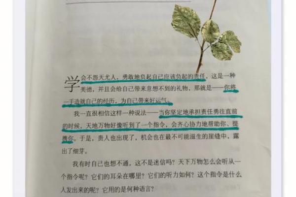 命理高手的命运：缘何掌控命运走向与选择人生路途的智慧？