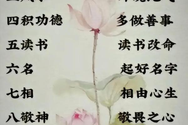 八字男命与女命的深层解析：命理中的性别之差异与影响