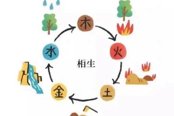 论命理与木的奥秘：探索“木”字成语的深意与启示