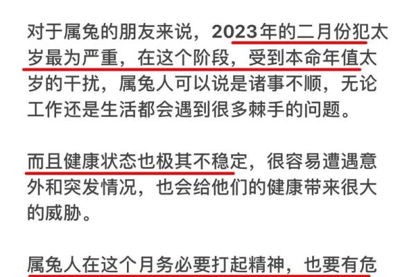 2023年运势揭秘：哪些命格在这一年最为旺盛？