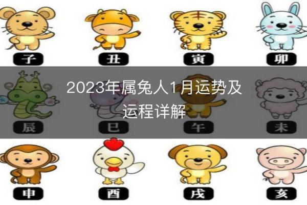 2023年属兔者的命运解析：抓住机遇，迎接美好人生！