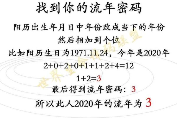 84年出生的命理解析：11月的命格与人生轨迹