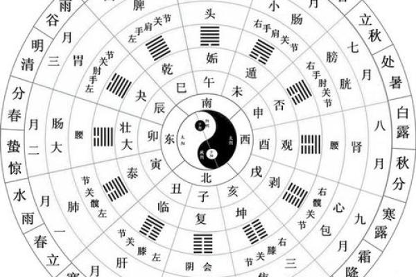 狗宝宝命理解析：木命与金命的区别与特点