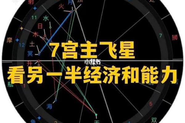 飞星命格解析：揭开命理中的神秘面纱与人生导向