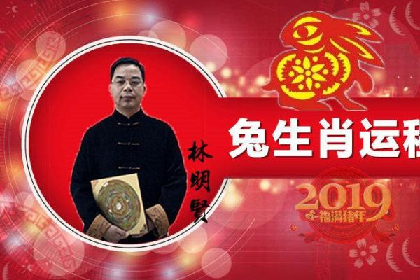 2023水兔年：吉祥如意，运势分析与命理解读