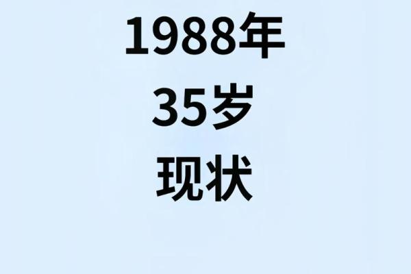 1988年出生的龙：命理解析与生活指南