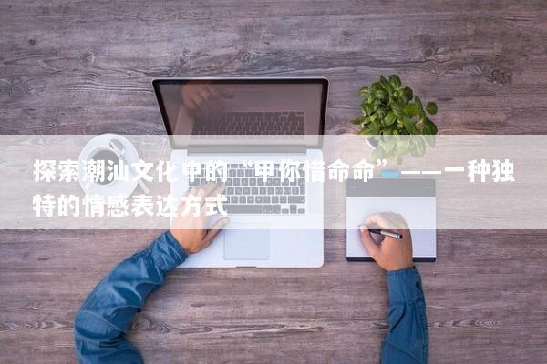 探索潮汕文化中的“甲你惜命命”——一种独特的情感表达方式