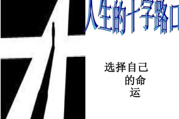 通过“命”字探索生命、命运与选择的美丽篇章