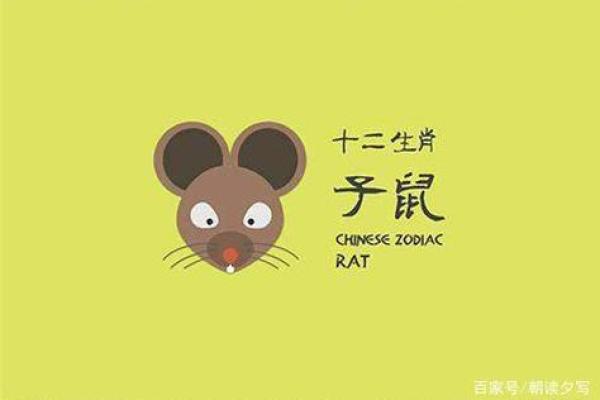 2020年属鼠人：机智与灵活的生活之道