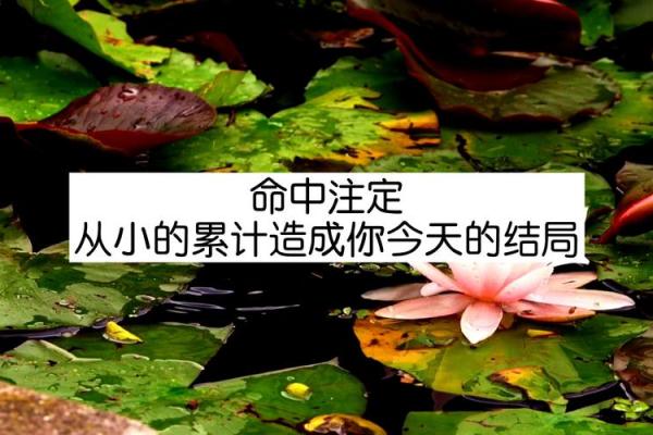 命理与金属：那些命中注定不能佩戴金属的秘密