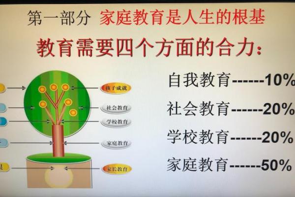 1988年农历二月出生的命运解析与人生启示