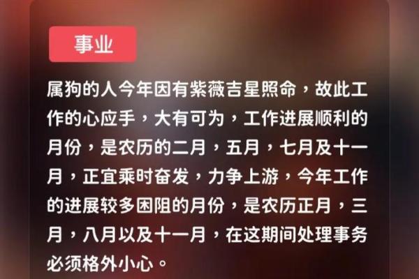 2024年属兔人的命运与运势分析：揭示兔年新生的秘密与祝福