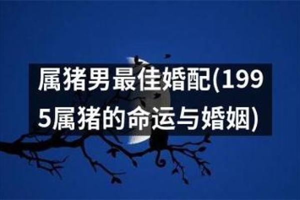 属猪之人的命运解析：开朗乐观，幸福人生的秘密