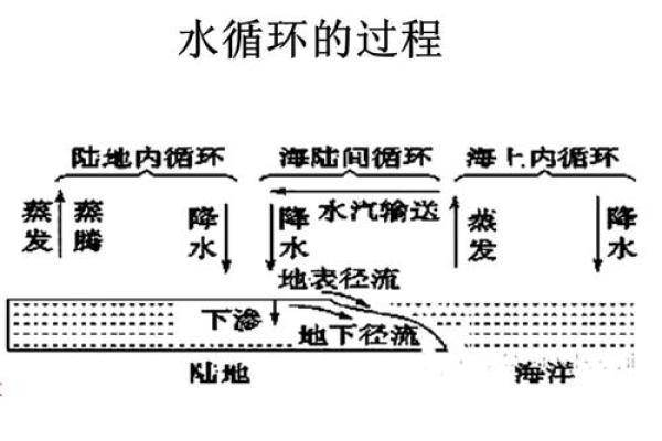 1996年水命的流转：水元素在人生中的意义与影响