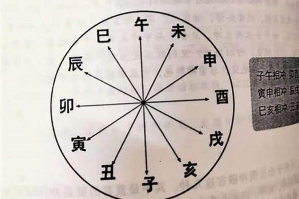 1972年出生的命理解析：探索命运与人生的奥秘