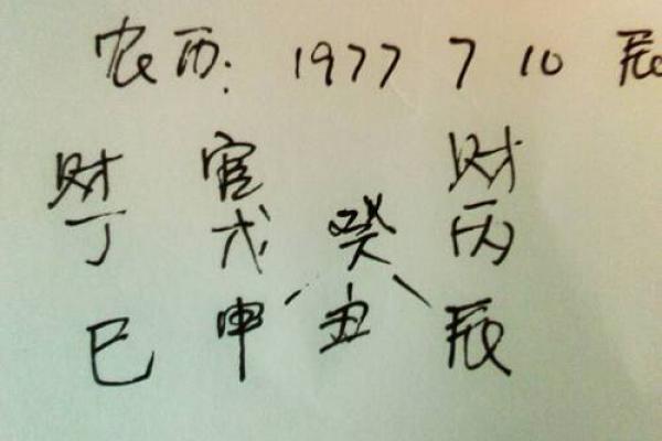 八字命硬与命软的深刻解析：你属于哪一种？