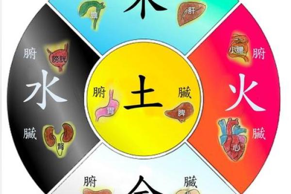 如何判断自己的命理是什么土命？深入解析土命的特征与生活应用