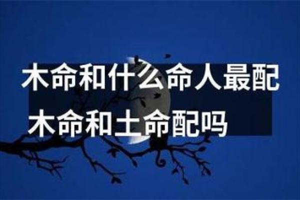 如何判断自己的命理是什么土命？深入解析土命的特征与生活应用