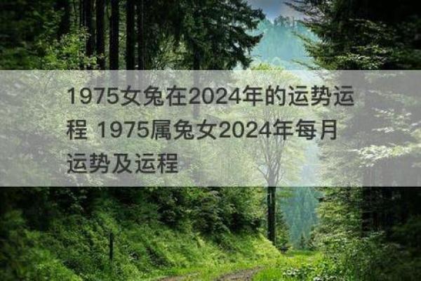 1975年属兔，何为兔年与出生命理的结合探讨