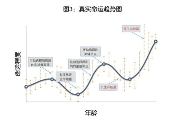 2017年的属相与命理分析：一探生肖鸡的命运与人生轨迹