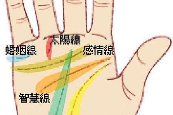 2017年的属相与命理分析：一探生肖鸡的命运与人生轨迹