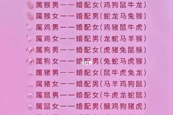 62年出生的女性命运探秘：命中注定的精彩与挑战