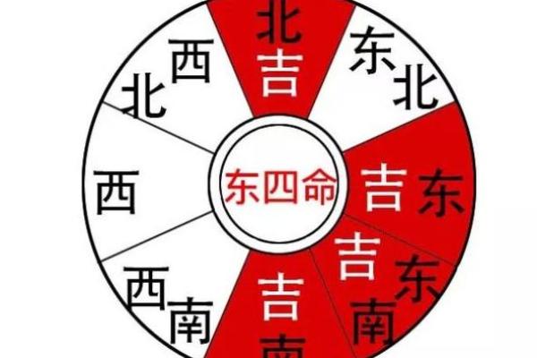 探秘东四命震卦的深刻含义与生活应用