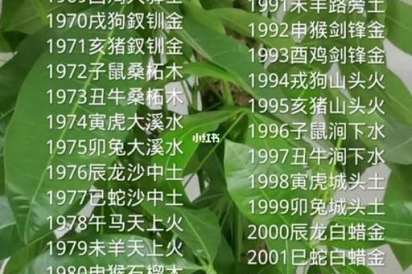 1976年属什么火命：探索生肖与五行的神秘联系