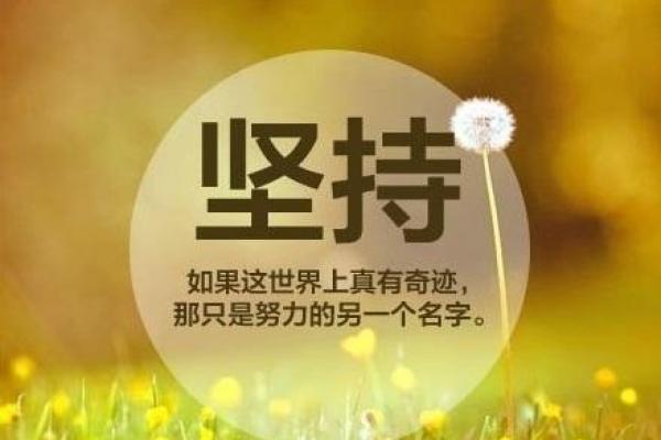 探寻2019年属猪的命理秘密与人生轨迹