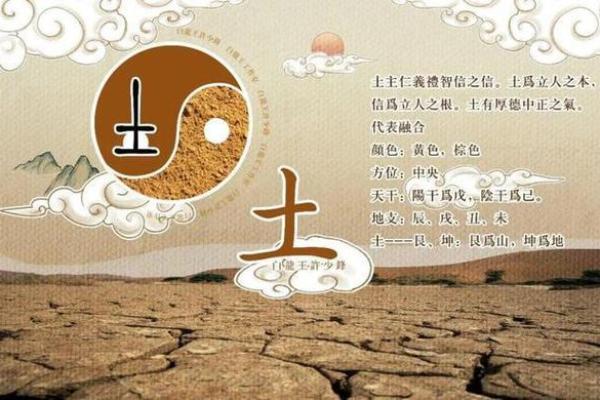 属土的人适合的命是什么？解读命理中的土命优势与发展潜力