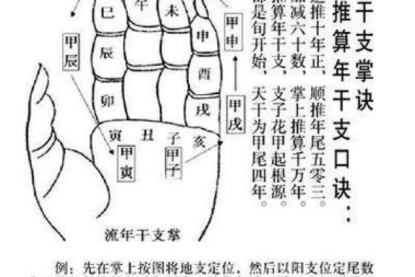 探索壬寅乙巳丙戌丁酉五行命理的奥秘与人生之路