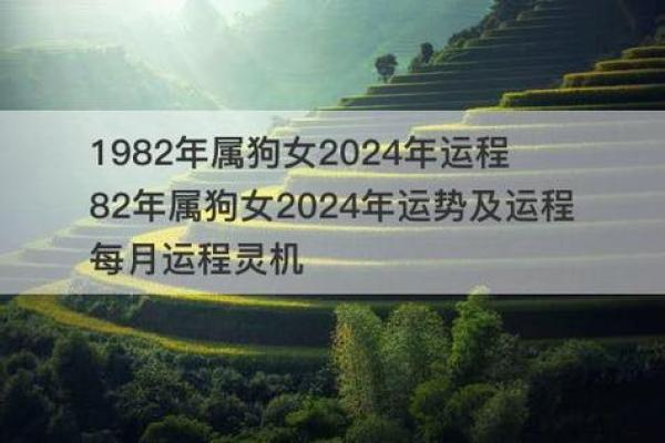 1982水狗命：性格、运势及人生道路解析