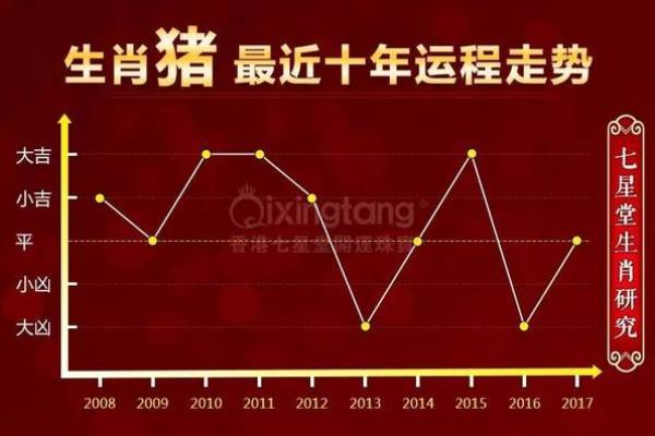 1971年男猪十二生肖命理分析与人生运程探讨