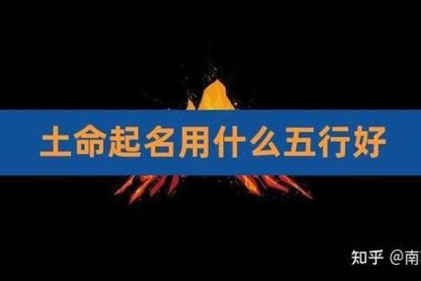 土命人：喜忌分析与属相关系，助您掌握命运之钥！