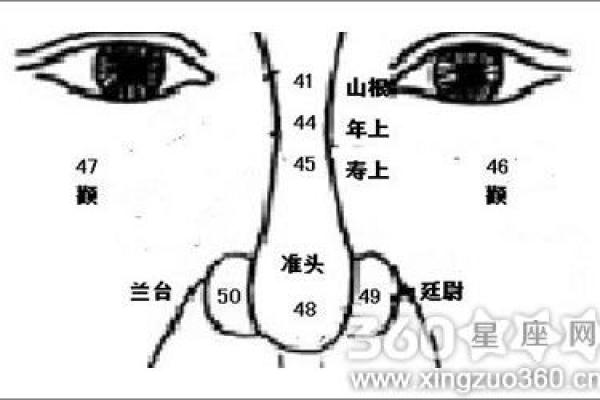 探究鼻根底的人命运：从面相看人生轨迹与运势