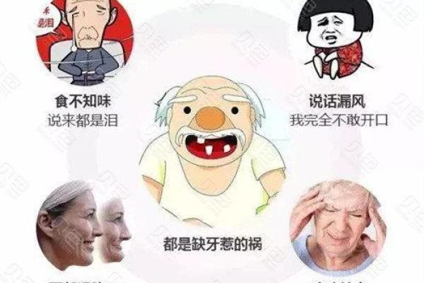 三十一颗牙齿：解读你命运的秘密武器