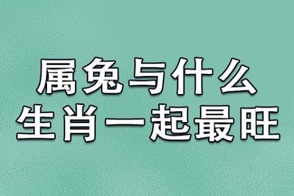 72年属猪人命理解析：解读他们的性格与命运之路