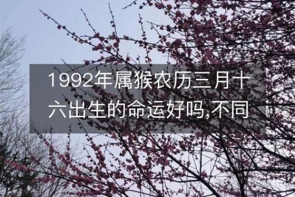 1992年壬申年的命运与人生解读，探索属猴之人的智慧与机遇