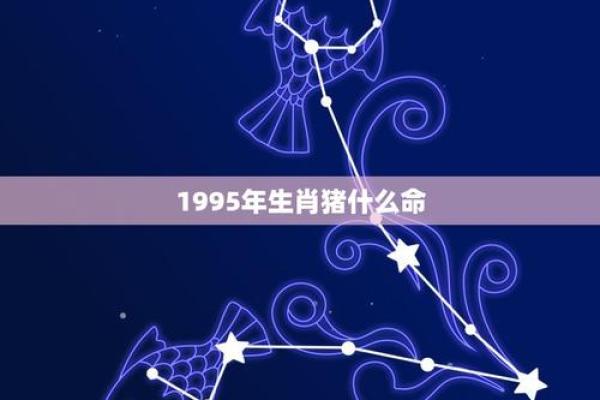 属猪1983年女性命运解析：智慧与魅力的结合之路