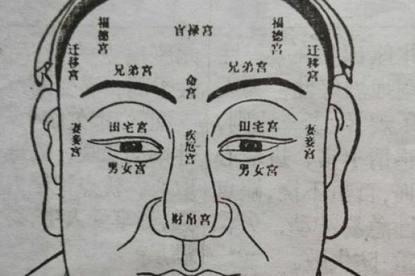 乙卯命运解析：解锁命宫背后的秘辛与人生指导