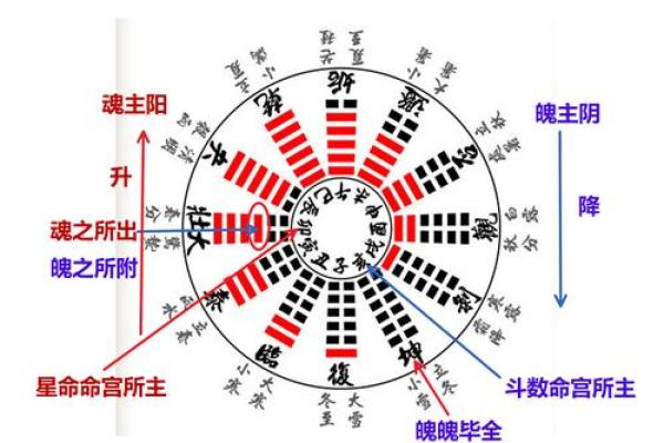 2023年3月12日命理分析：这一日出生的人个性与命运的奥秘探究