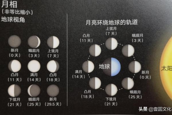 农历1957年出生的人命运与性格分析：揭秘命理奥秘