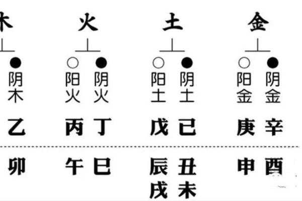 辛字五行命格揭秘：属于哪种命理？探寻辛命的奥秘与人生之路！