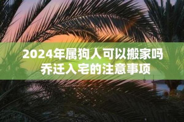 属狗命运解析：带什么字才能更好地呵护她们的生命旅程