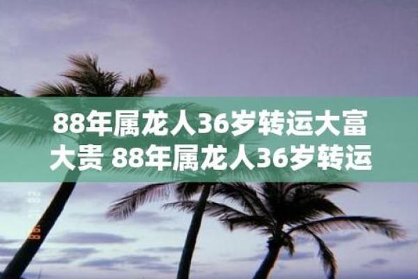 1988年属龙，龙的魅力与命运之探秘