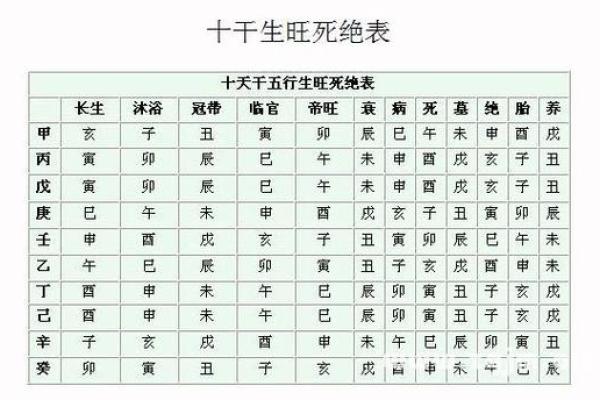 探秘骨重6.2的命理解析：命运背后的秘密